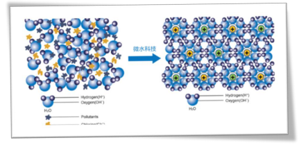 60岁女人补钙吃哪牌子(女士补钙吃哪种商品比较好)-硒宝网