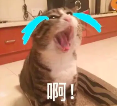 60岁女人补钙吃哪牌子(女士补钙吃哪种商品比较好)-硒宝网