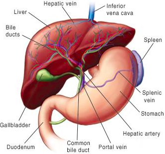 60岁女人补钙吃哪牌子(女士补钙吃哪种商品比较好)-硒宝网