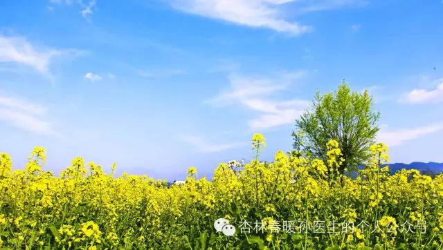 甲状腺抗体高吃补硒对么（抗体补甲状腺吃高硒还是低硒）-硒宝网