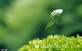 甲状腺抗体高吃补硒对么（抗体补甲状腺吃高硒还是低硒）-硒宝网