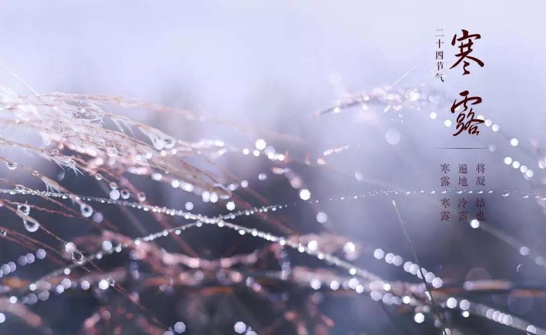 100岁每天补硒吃生蒜（补硒一天吃几颗大蒜）-硒宝网