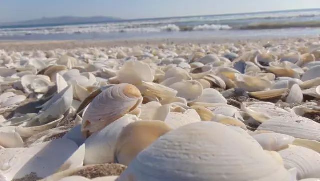 100岁每天补硒吃生蒜（补硒一天吃几颗大蒜）-硒宝网