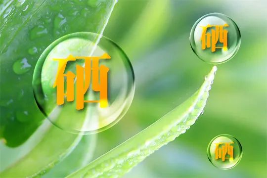 什么时间补硒效果最好呢（补硒产品什么时间吃好）-硒宝网