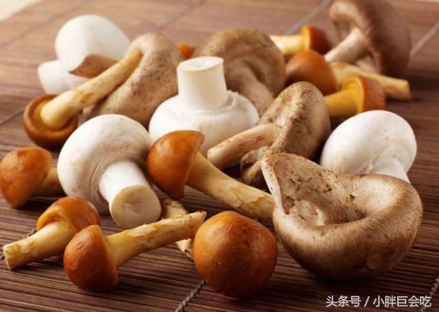 鲍鱼果补硒的好处作用是(鲍鱼果硒)-硒宝网