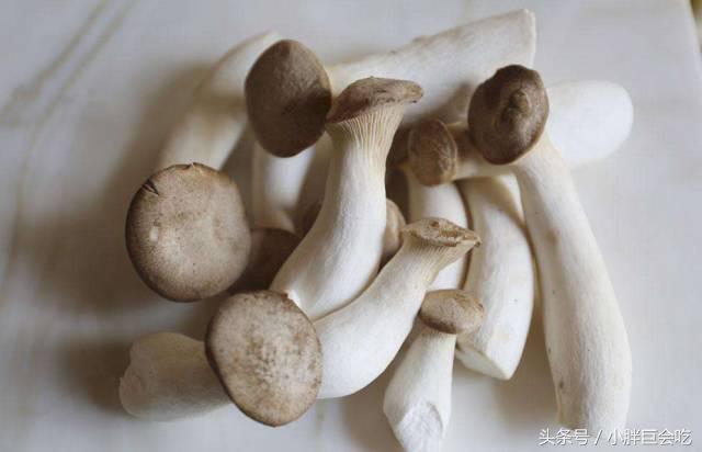 鲍鱼果补硒的好处作用是(鲍鱼果硒)-硒宝网