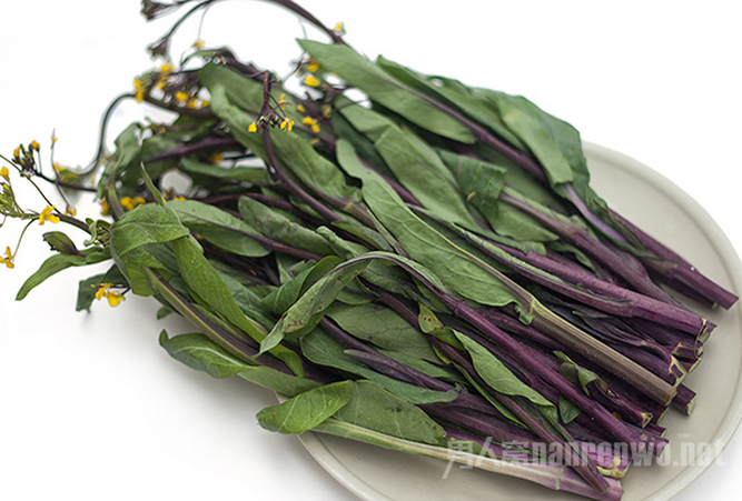 哪些维生素补硒效果好呢(维生素硒的副作用)-硒宝网