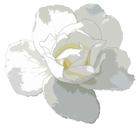 查微量元素去哪个科室（科室查微量元素去哪里查）-硒宝网