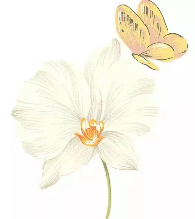 查微量元素去哪个科室（科室查微量元素去哪里查）-硒宝网