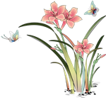 查微量元素去哪个科室（科室查微量元素去哪里查）-硒宝网