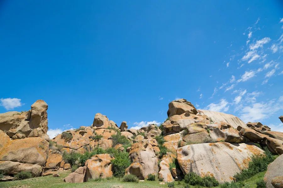 补硒要搭配什么药吃最好（补硒食补好还是药补好）-硒宝网