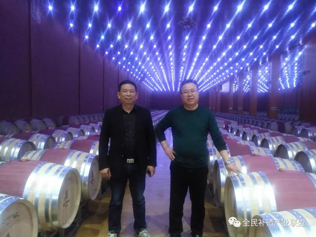 全民补硒工程是什么时间（全民补硒健康工程管理办公室）-硒宝网