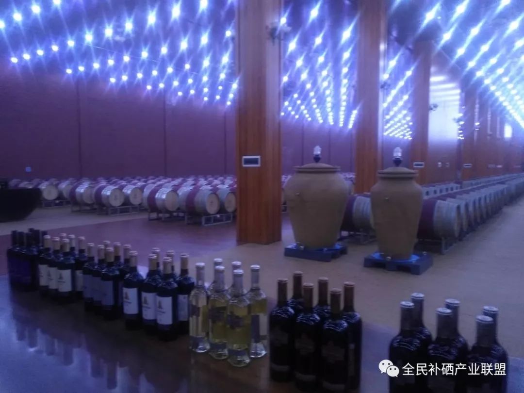 全民补硒工程是什么时间（全民补硒健康工程管理办公室）-硒宝网