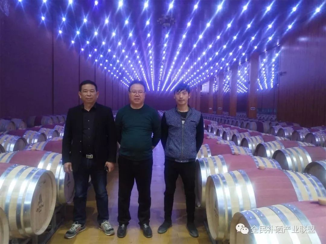 全民补硒工程是什么时间（全民补硒健康工程管理办公室）-硒宝网