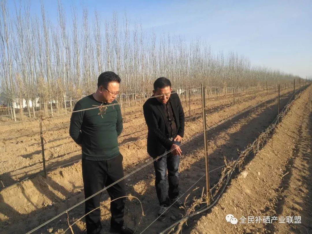 全民补硒工程是什么时间（全民补硒健康工程管理办公室）-硒宝网