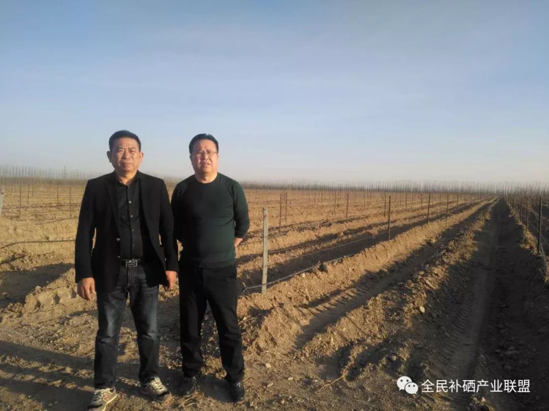 全民补硒工程是什么时间（全民补硒健康工程管理办公室）-硒宝网