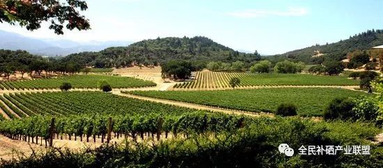 全民补硒工程是什么时间（全民补硒健康工程管理办公室）-硒宝网