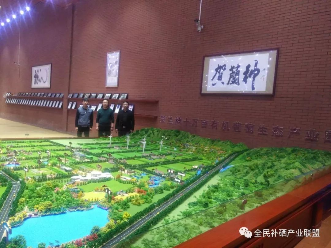 全民补硒工程是什么时间（全民补硒健康工程管理办公室）-硒宝网