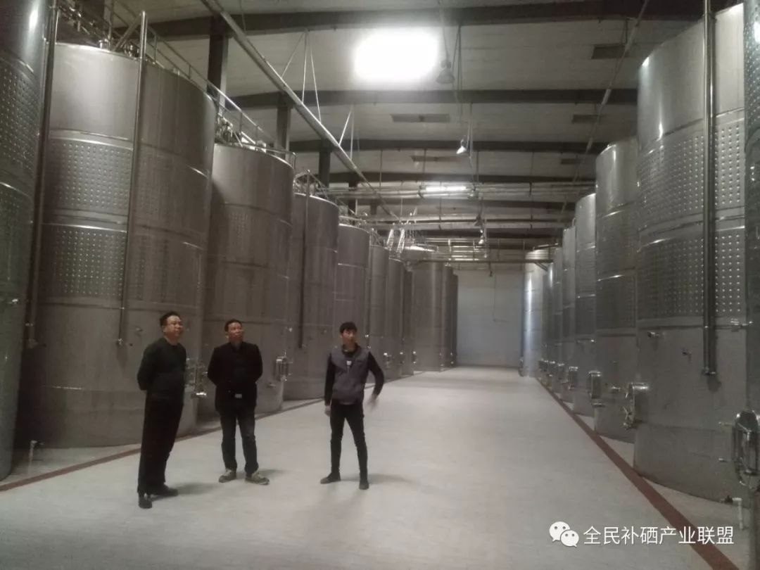 全民补硒工程是什么时间（全民补硒健康工程管理办公室）-硒宝网