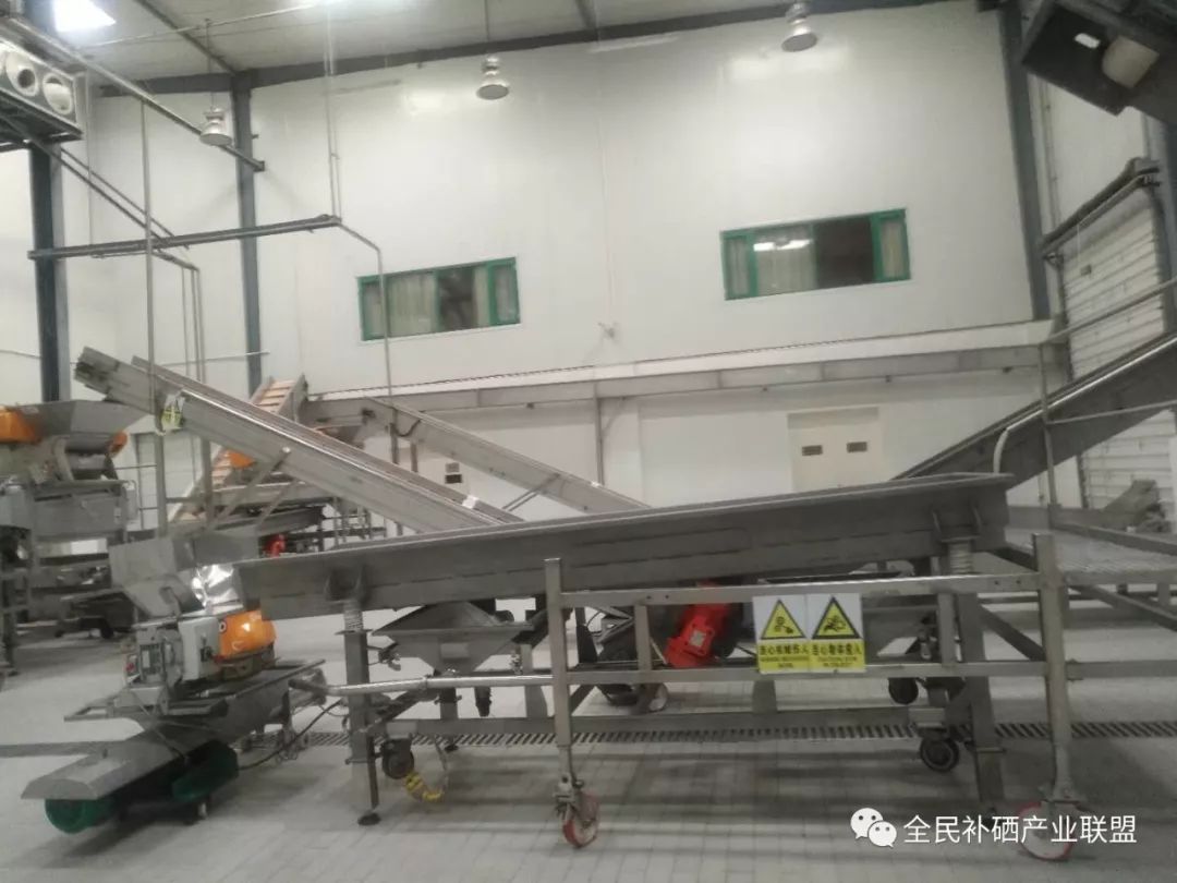 全民补硒工程是什么时间（全民补硒健康工程管理办公室）-硒宝网