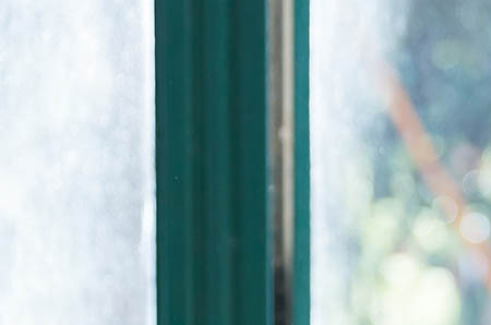 鲍鱼果能补硒元素吗孕妇（孕妇能吃鲍鱼果仁吗）-硒宝网