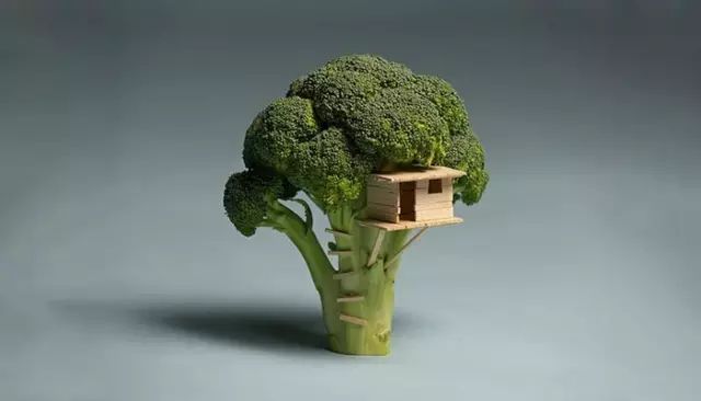 人体补维生素c 硒保?。ú钩湮匚暮么Γ?硒宝网