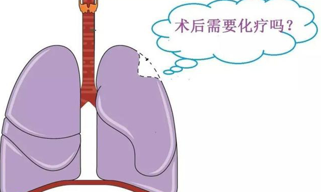 科学家表明每天补硒多少（科学补硒的作用）-硒宝网