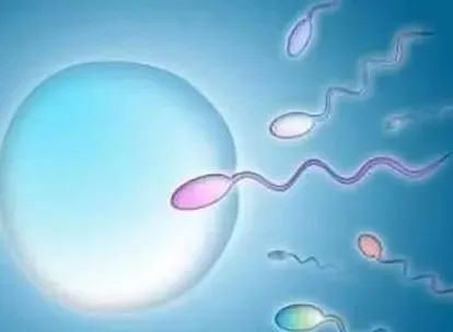 男人精子少补锌还是补硒(男人补锌补硒有什么好处)-硒宝网