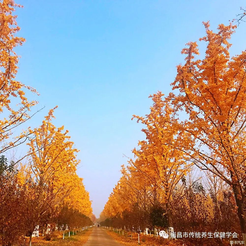 成年男子要补多少锌硒呢（补锌硒对男人有什么好处）-硒宝网
