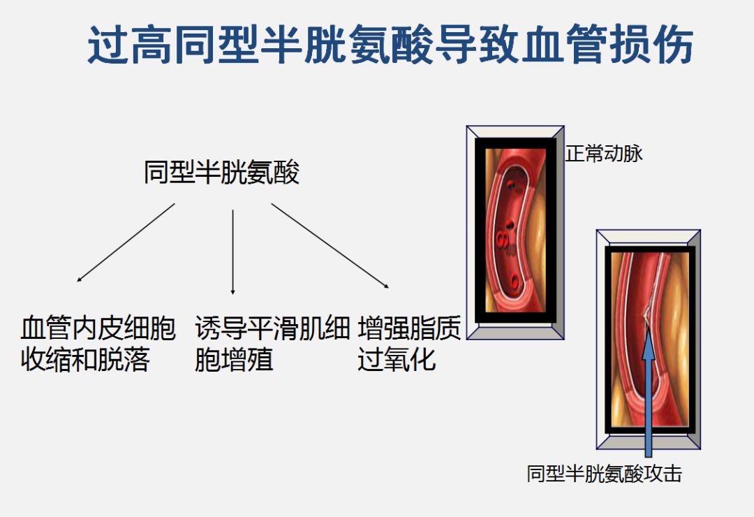 抑郁症每天需要补多少硒(抑郁症需要吃维生素吗)-硒宝网