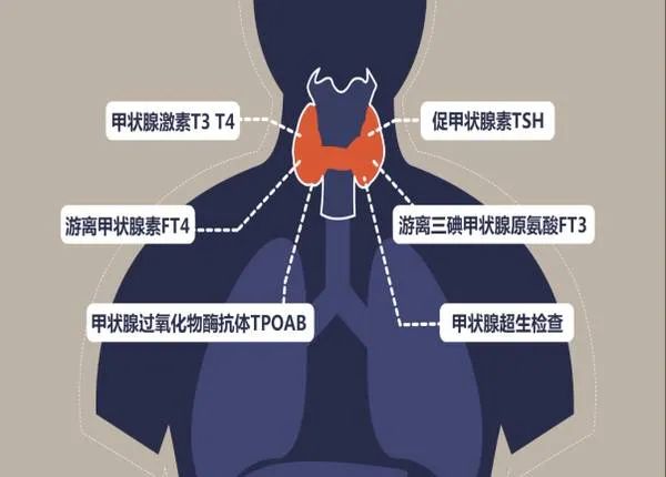 桥本氏甲减需要补哪种硒（桥本氏甲减需要补硒吗）-硒宝网