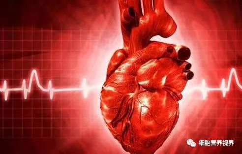 脑梗的人补硒有什么好处(硒与脑梗塞的关系是什么)-硒宝网