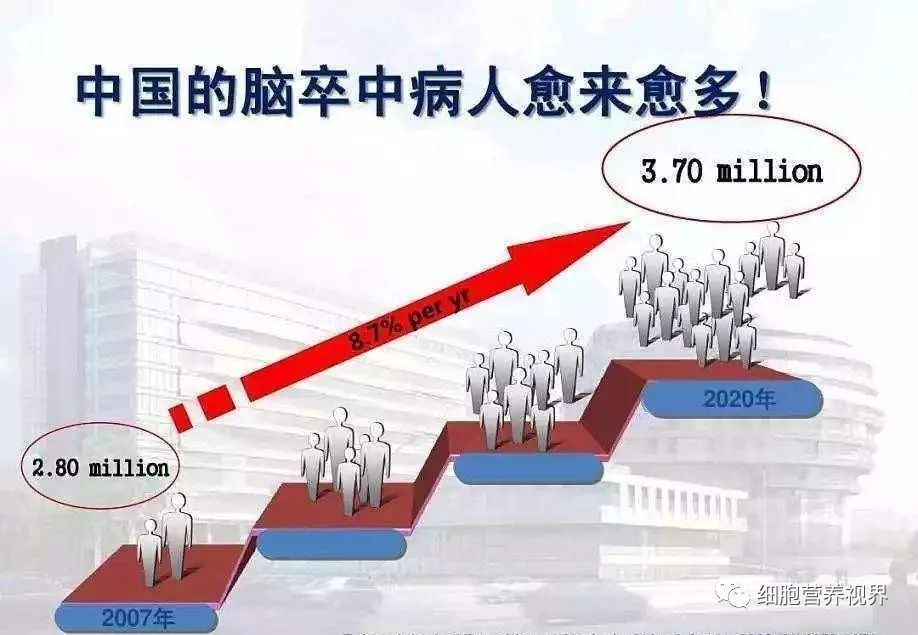 脑梗的人补硒有什么好处(硒与脑梗塞的关系是什么)-硒宝网