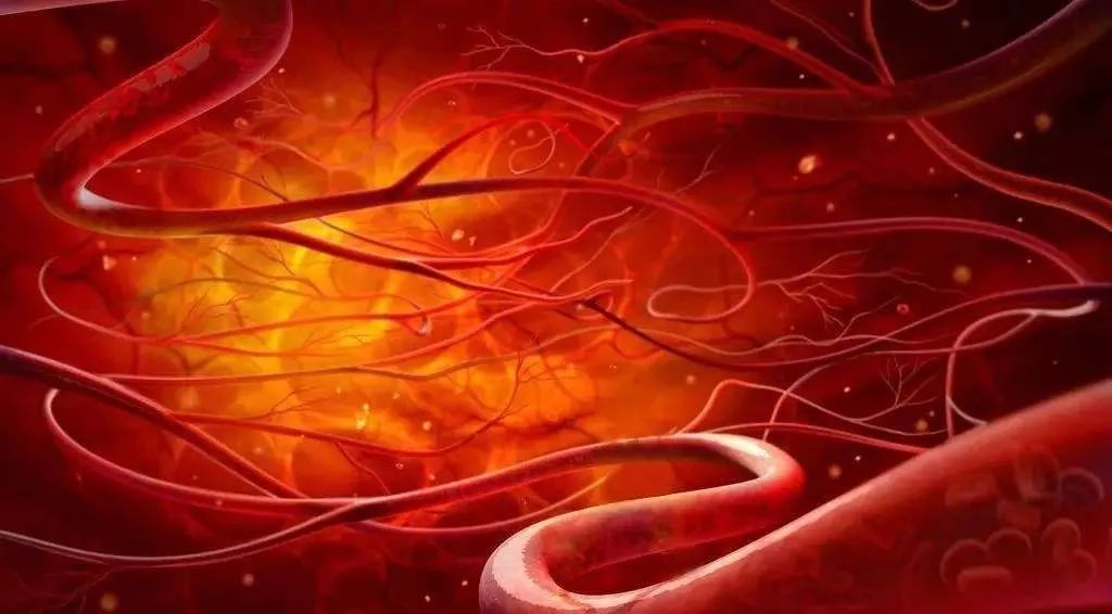 脑梗的人补硒有什么好处(硒与脑梗塞的关系是什么)-硒宝网