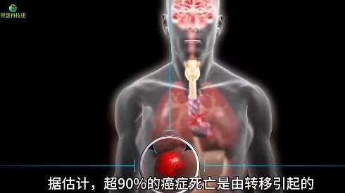 治疗甲状腺癌可以补硒吗(甲状腺癌症可以吃硒片吗)-硒宝网