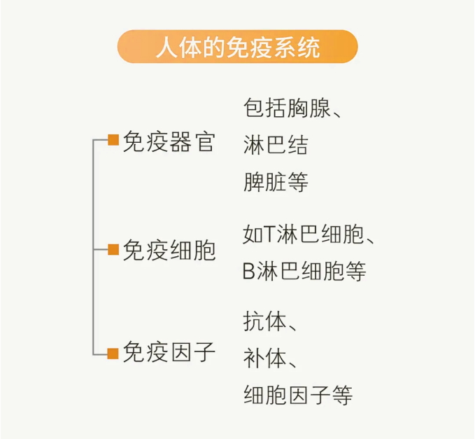 什么食物补硒提高免疫力（免疫力补食物提高硒含量吗）-硒宝网