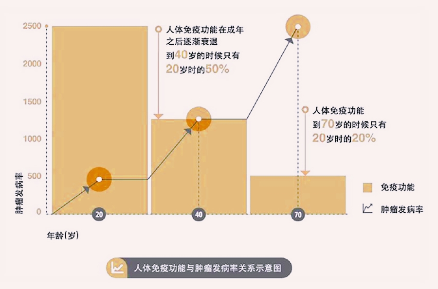 什么食物补硒提高免疫力（免疫力补食物提高硒含量吗）-硒宝网