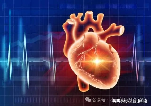 人体缺硒用什么食物来补（缺少硒吃什么补）-硒宝网