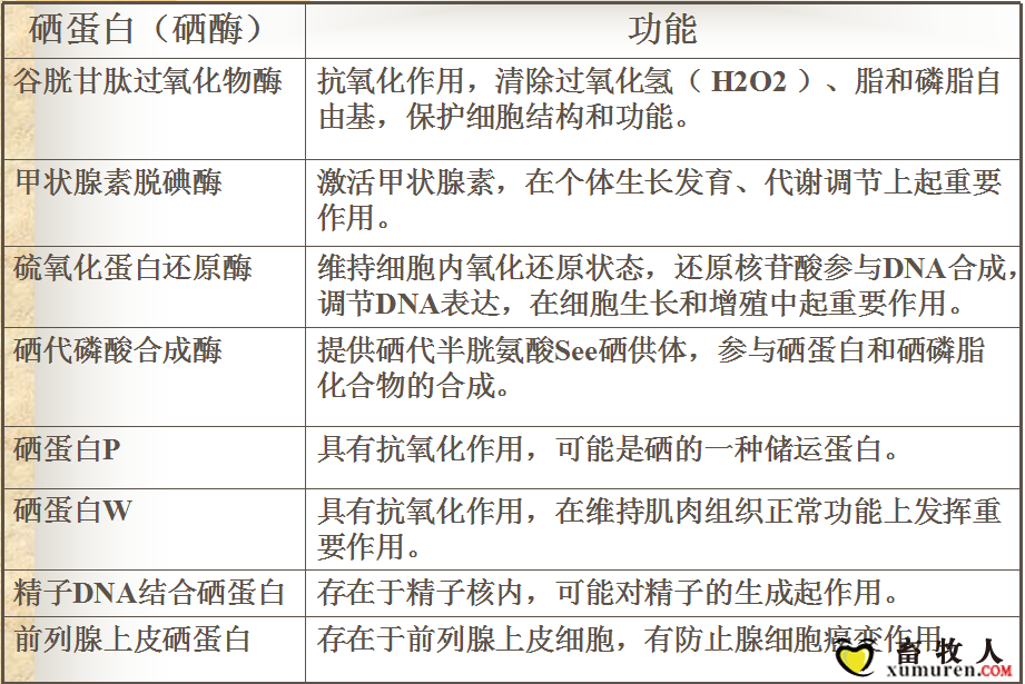补硒铬 预防妊娠糖尿?。ㄈ焉锾悄虿≡趺床钩溆?硒宝网