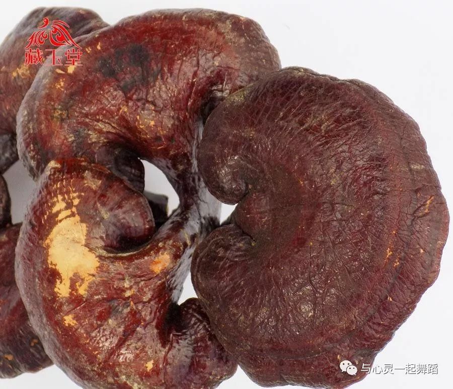 免疫系统亢进可以补硒吗（免疫补系统亢进硒可以补吗）-硒宝网