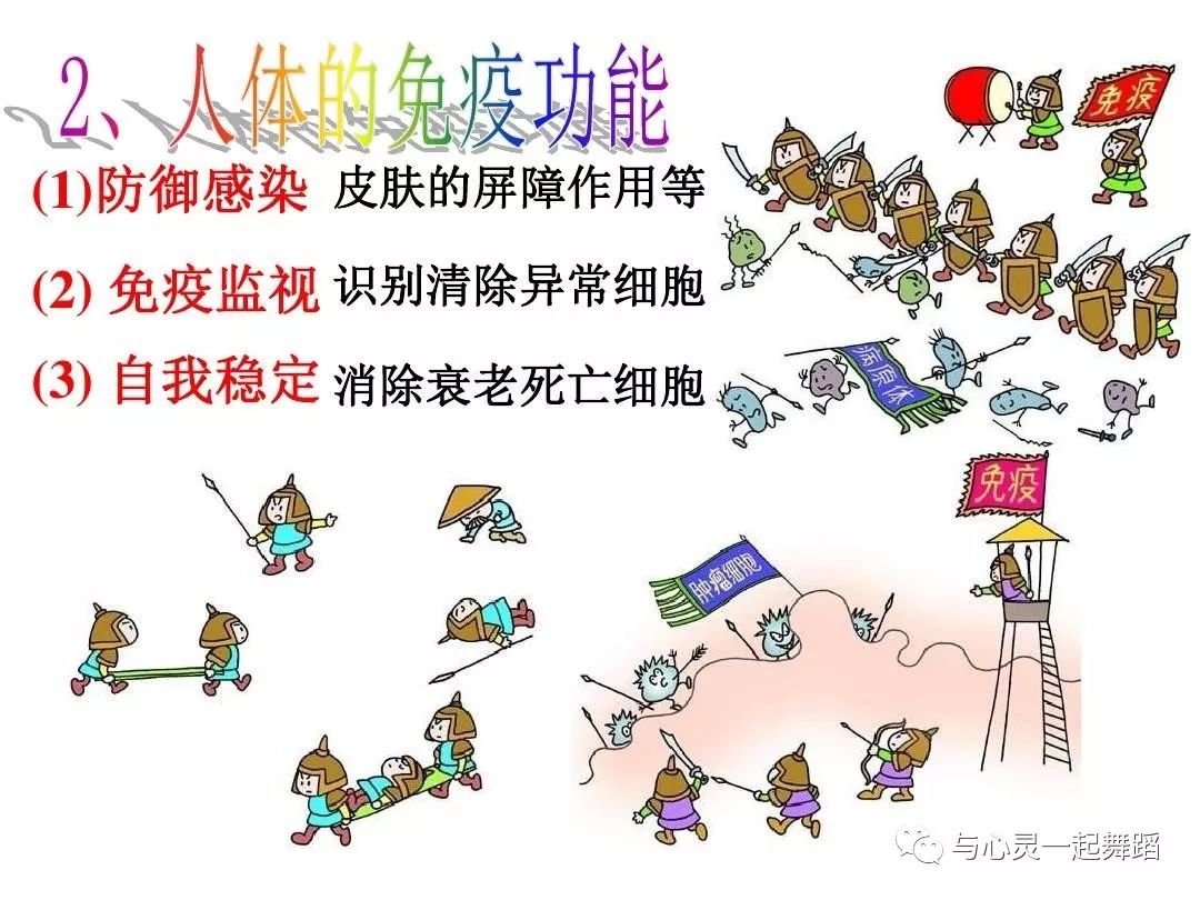 免疫系统亢进可以补硒吗（免疫补系统亢进硒可以补吗）-硒宝网