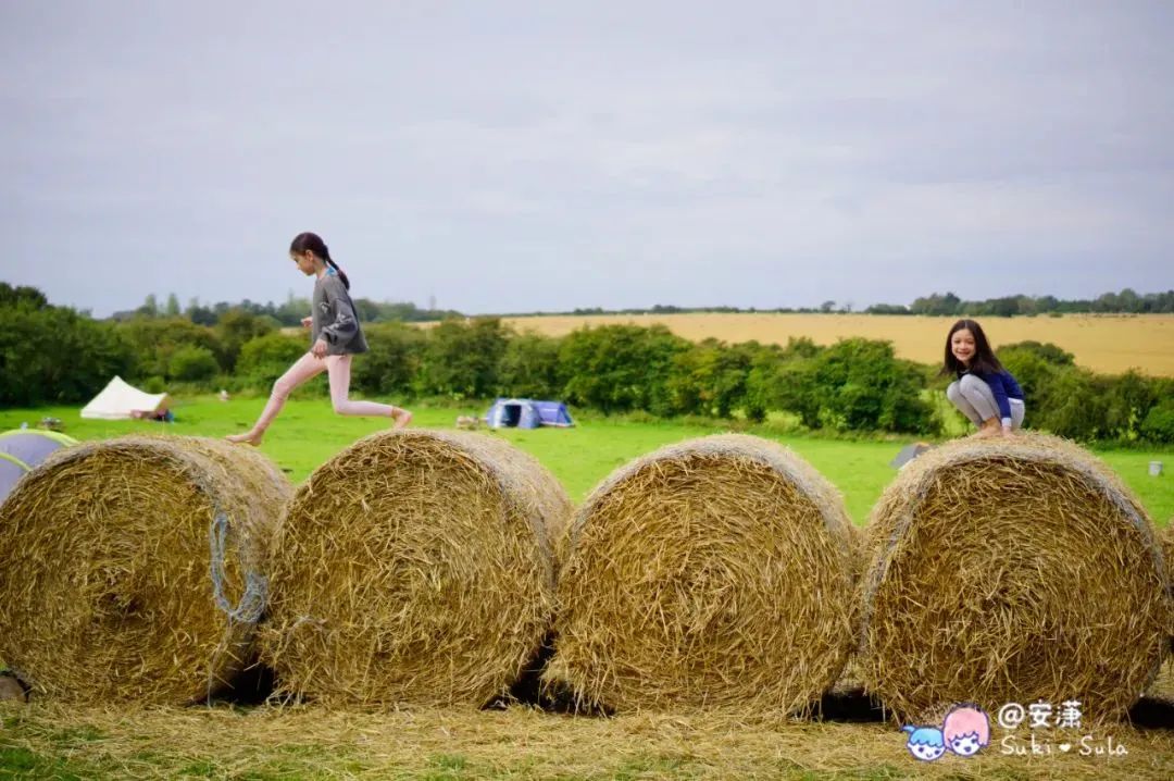 幼儿怎么补锰和硒的食物（含硒和锰的奶粉有哪些）-硒宝网