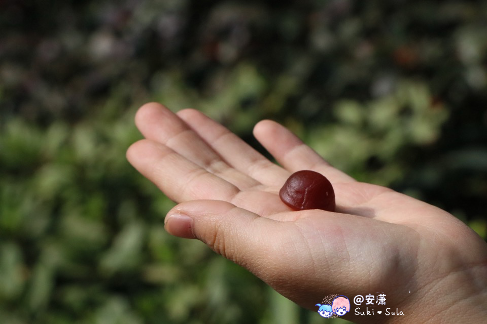 幼儿怎么补锰和硒的食物（含硒和锰的奶粉有哪些）-硒宝网