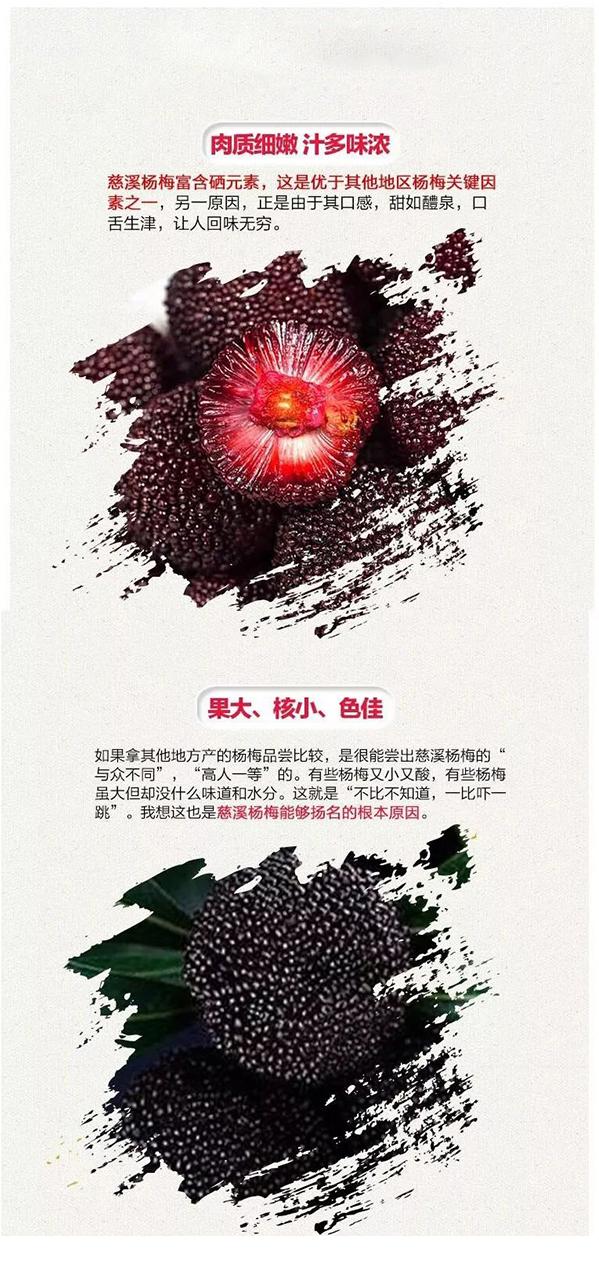 每天补硒200会怎么样(每天补充硒)-硒宝网