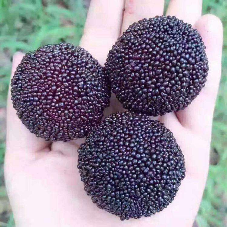 每天补硒200会怎么样(每天补充硒)-硒宝网