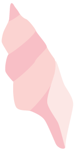 啥食物补铁补硒多的人吃(补铁硒的食物)-硒宝网