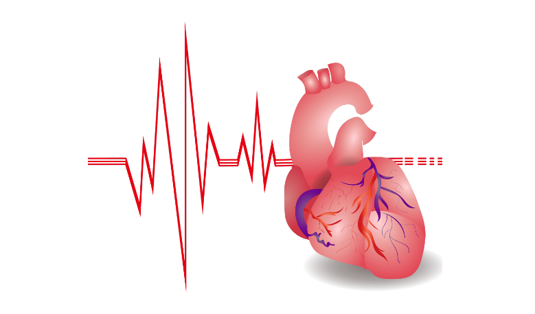 心脏有支架的可以补硒吗（做了心脏支架的人可以吃硒吗）-硒宝网