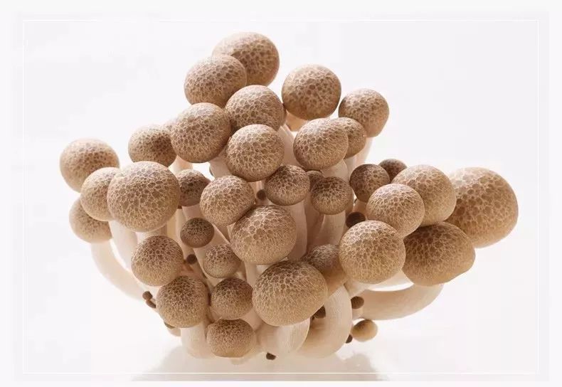 补硒最好的成分是啥东西（补硒的东西）-硒宝网