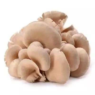 补硒最好的成分是啥东西（补硒的东西）-硒宝网