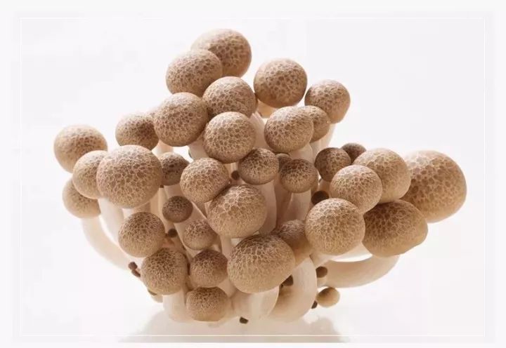 补硒最好的成分是啥东西(硒是补什么的对什么好)-硒宝网